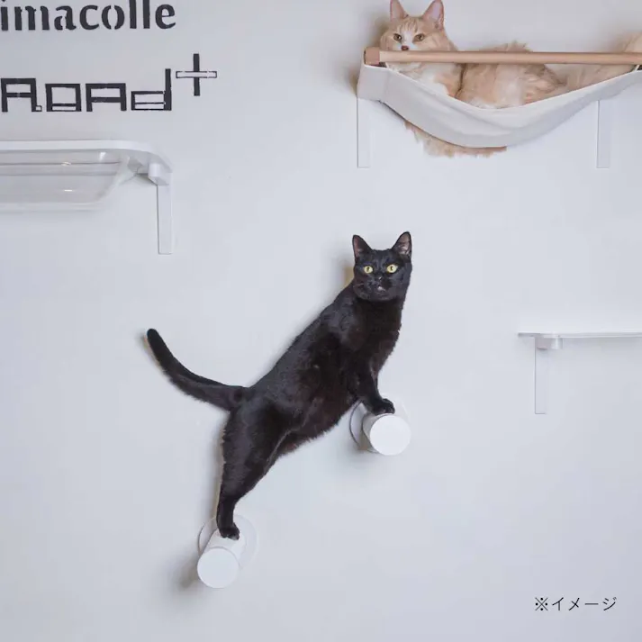 キャットスティック(つめみがきステップ)