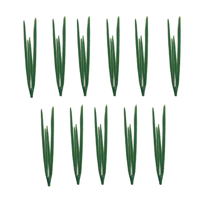 DECO・GraSS