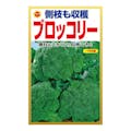 アタリヤ農園 側芽も収穫ブロッコリー