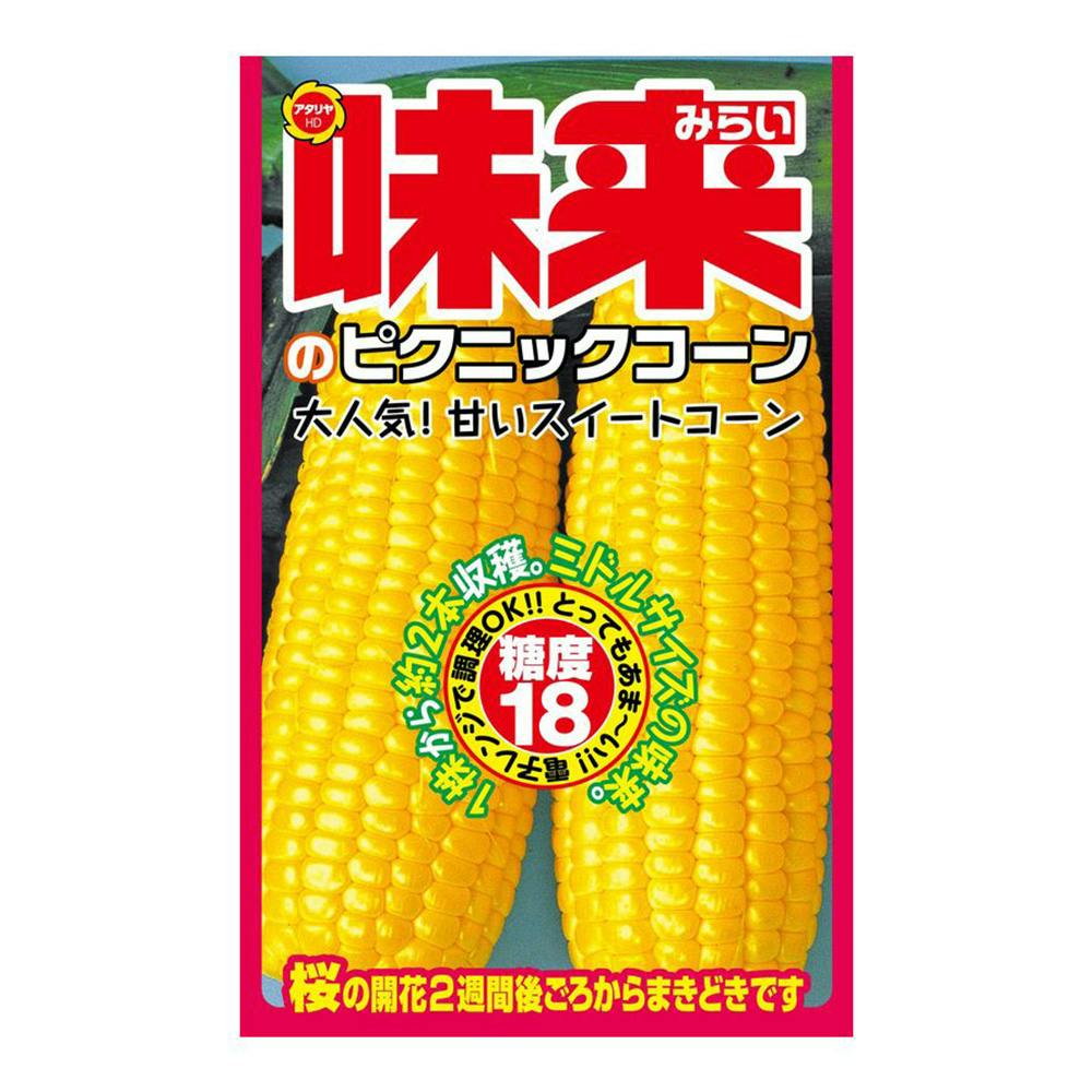 トウモロコシ F1あま～いコーン 徳用袋 | 花＆グリーン 通販