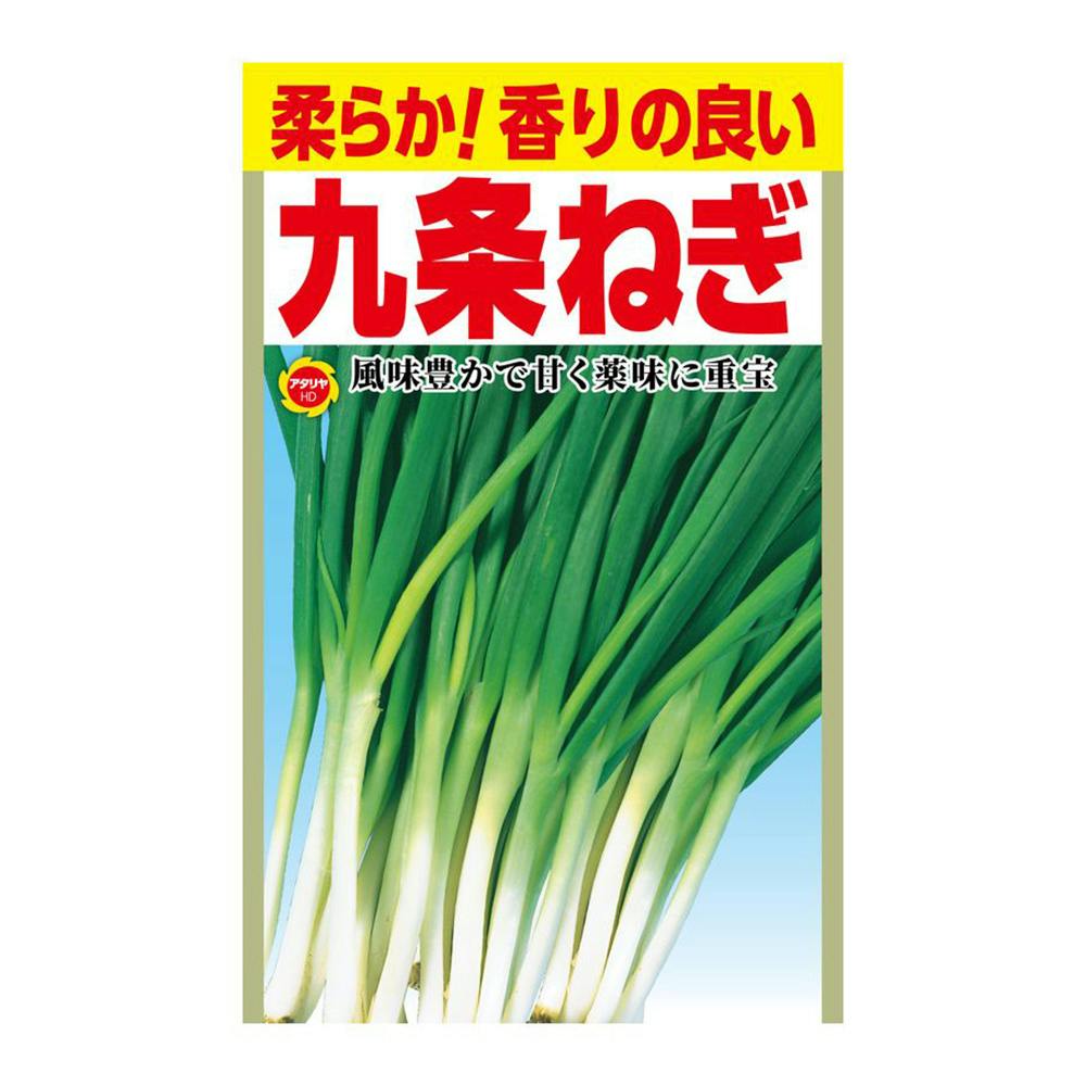 ひひひページ‼️九条ネギ12キロ 商品詳細｜ベルクお届けパック