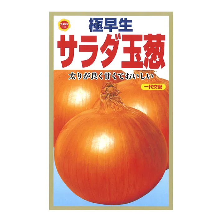 極早生サラダ玉ねぎ