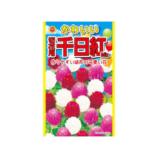 かわいい 切花用千日紅ミックス