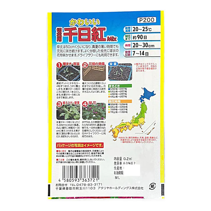 かわいい 切花用千日紅ミックス