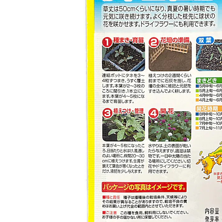 かわいい 切花用千日紅ミックス