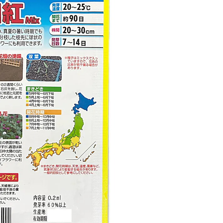 かわいい 切花用千日紅ミックス