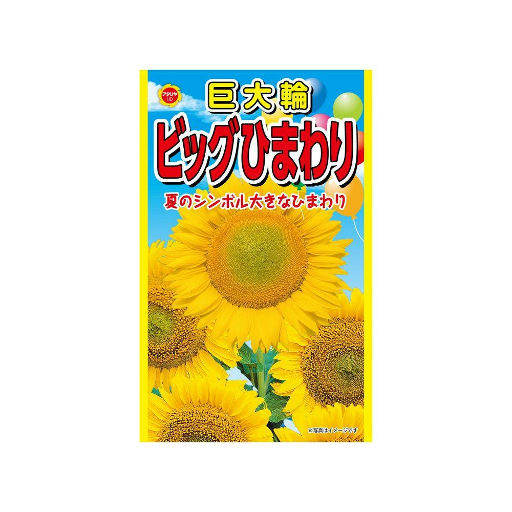 ひまわり　 太陽光発電のひまわりランプ 庭の装飾 パティオの小道