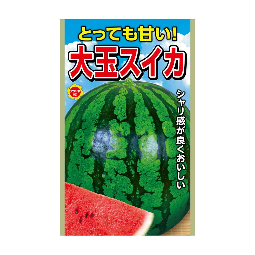とっても甘い 大玉スイカ