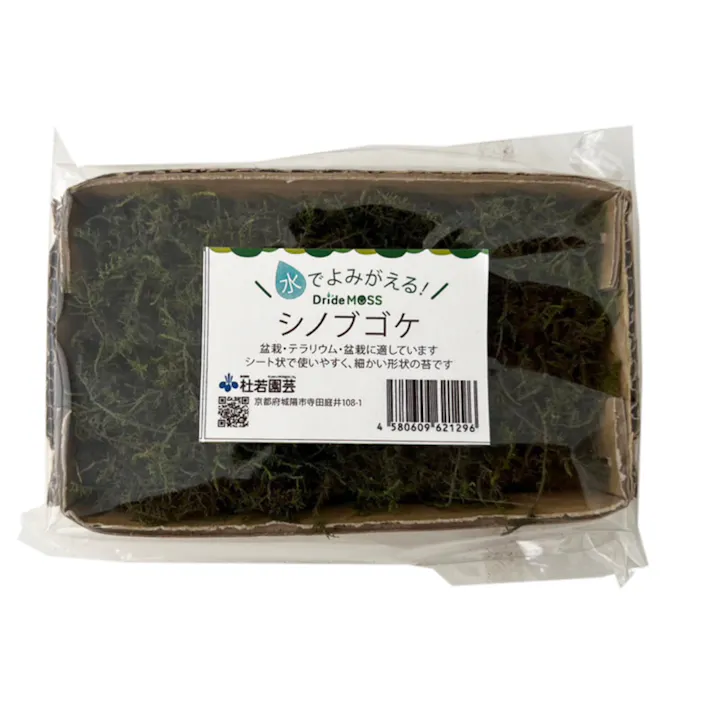 乾燥苔セット 小 ヤマゴケ