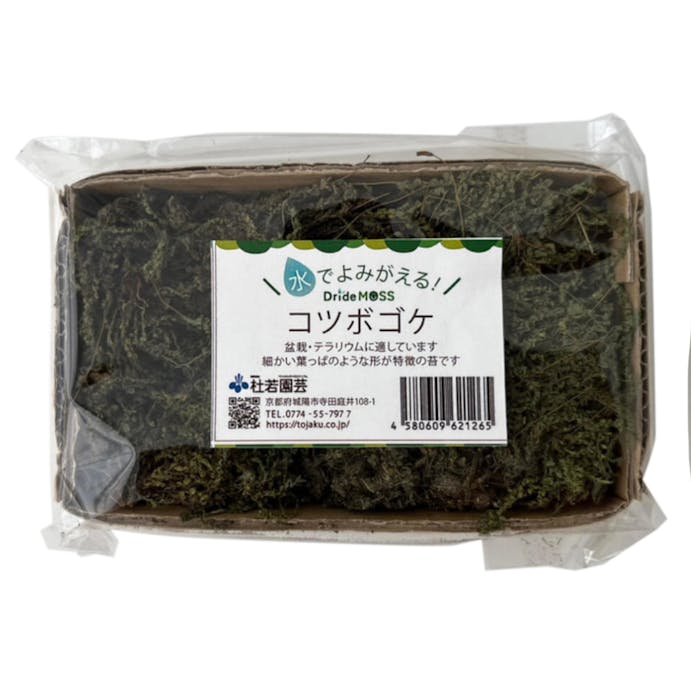 乾燥苔セット 小 スナゴケ(販売終了)