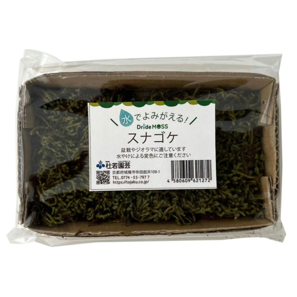 けこけ 7180c7GjWZL._UF1000,1000_QL80_.jpg