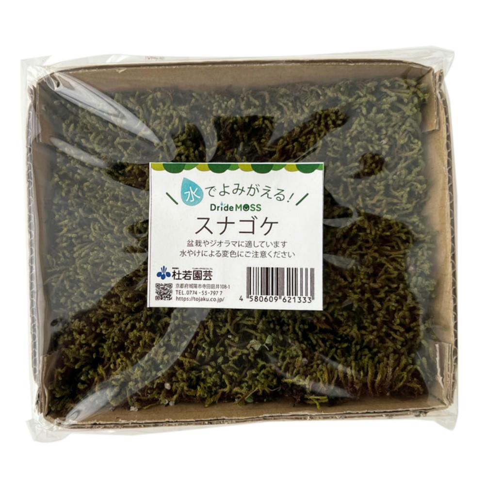 乾燥苔セット 大 シノブゴケ(販売終了) | 花＆グリーン 通販