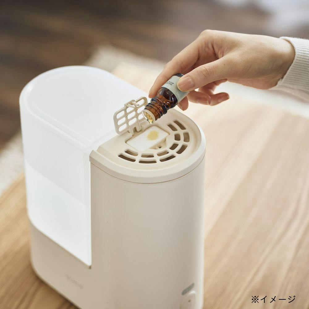 スチーム加湿器 ERU MOIST LITE アイボリー QS548 | 空調・季節家電