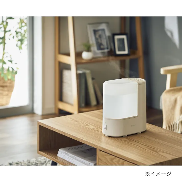 スチーム加湿器 ERU MOIST LITE アイボリー QS548