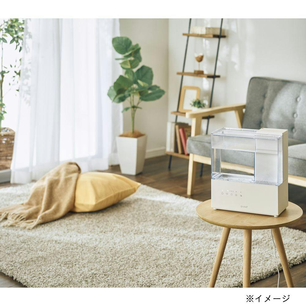 上部給水式 スチーム加湿器 ERU MOIST CLEAR アイボリー QS562
