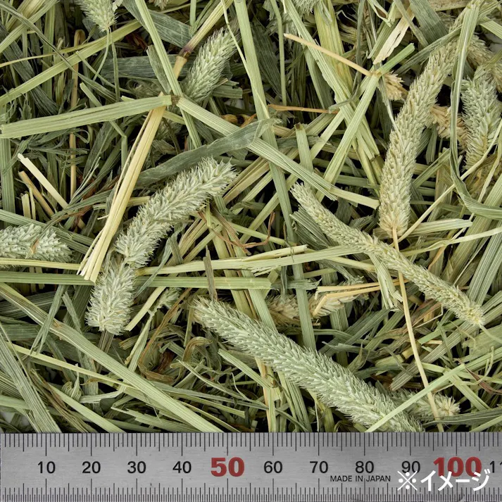 プレミアムチモシー シングル 1kg