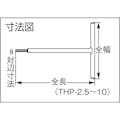 【CAINZ-DASH】水戸工機 Ｔ型ホローレンチ　パワータイプ　１０ｍｍ THP-10【別送品】