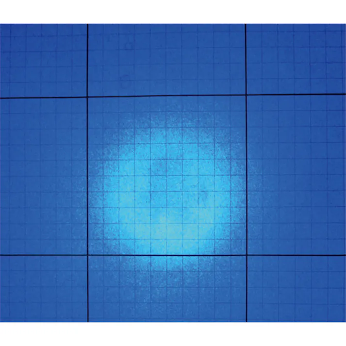【CAINZ-DASH】コンテック ブラックライト 高出力(ワイド照射)タイプ 乾電池タイプ ピーク波長405nm UV-SVGNC405-01W【別送品】