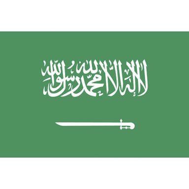 【CAINZ-DASH】東京製旗 卓上旗（１６×２４ｃｍ）サウジアラビア【別送品】