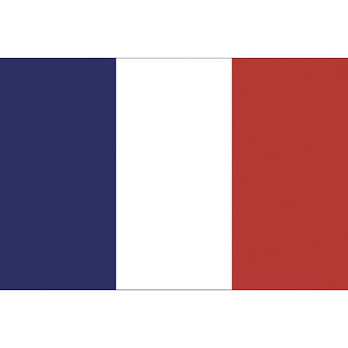 【CAINZ-DASH】東京製旗 卓上旗（１６×２４ｃｍ）フランス 406647【別送品】