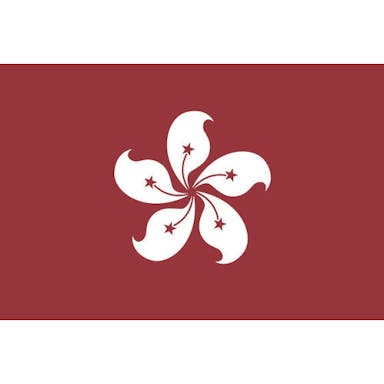 【CAINZ-DASH】東京製旗 卓上旗（１６×２４ｃｍ）香港【別送品】