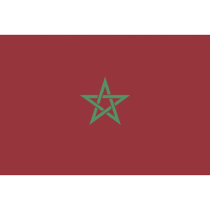 【CAINZ-DASH】東京製旗 卓上旗（１６×２４ｃｍ）モロッコ 406786【別送品】