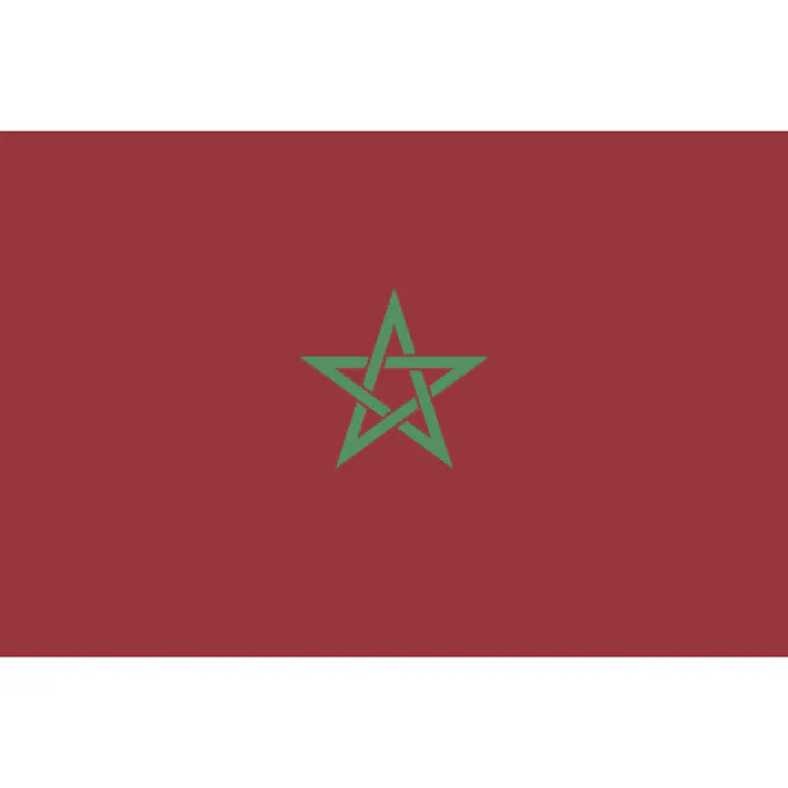 【CAINZ-DASH】東京製旗 卓上旗(16×24cm)モロッコ 406786【別送品】