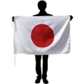 【CAINZ-DASH】東京製旗 国旗Ｎｏ．１（７０×１０５ｃｍ）　インド 416128【別送品】