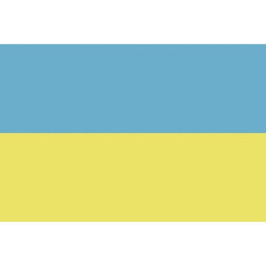 【CAINZ-DASH】国旗Ｎｏ．１（７０×１０５ｃｍ）　ウクライナ【別送品】