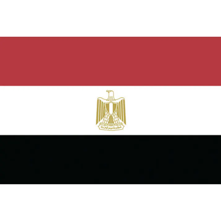 【CAINZ-DASH】東京製旗 国旗No.1(70×105cm) エジプト・アラブ 416163【別送品】