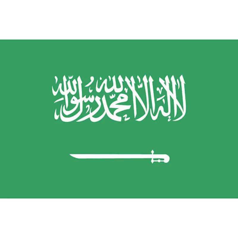 ブティック 国旗ｎｏ １ ７０ １０５ｃｍ サウジアラビア 別送品 Reference Numerique Fr