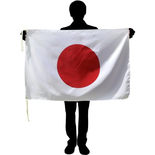 CAINZ-DASH】東京製旗 国旗No．1（70×105cm