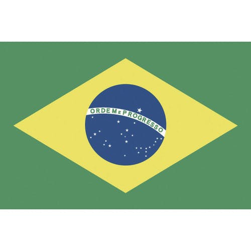 CAINZ-DASH】東京製旗 国旗Ｎｏ．１（７０×１０５ｃｍ） ブラジル 