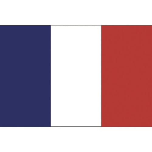 【CAINZ-DASH】東京製旗 国旗Ｎｏ．１（７０×１０５ｃｍ） フランス 416647【別送品】 | 安全用品 | ホームセンター通販【カインズ】