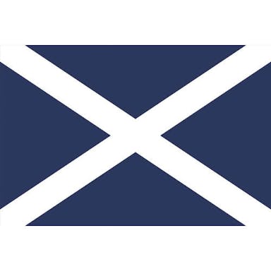 【CAINZ-DASH】東京製旗 国旗Ｎｏ．２（９０×１３５ｃｍ）　スコットランド 426351【別送品】