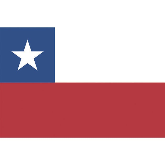 【CAINZ-DASH】東京製旗 国旗Ｎｏ．２（９０×１３５ｃｍ）　チリ 426427【別送品】