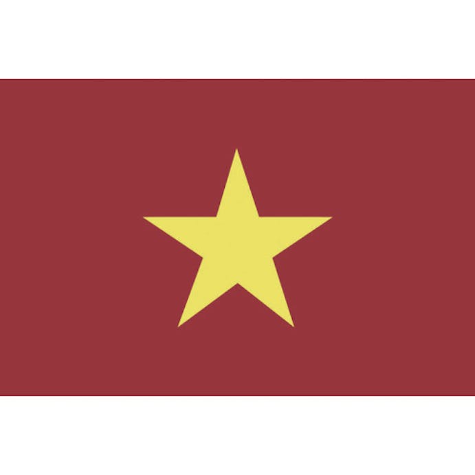 【CAINZ-DASH】東京製旗 国旗Ｎｏ．２（９０×１３５ｃｍ）　ベトナム 426661【別送品】