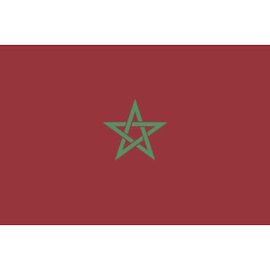 【CAINZ-DASH】東京製旗 国旗Ｎｏ．２（９０×１３５ｃｍ）　モロッコ【別送品】
