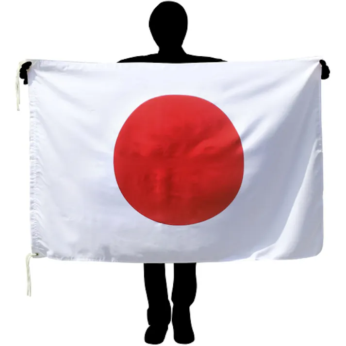 【CAINZ-DASH】東京製旗 国旗No.2(90×135cm) ルーマニア 426852【別送品】