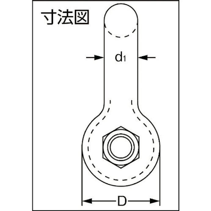 【CAINZ-DASH】大洋製器工業 スーパーアロイシャックル　ＴＢＳ－５ｔ（１２５６２１８） TBS-5T【別送品】