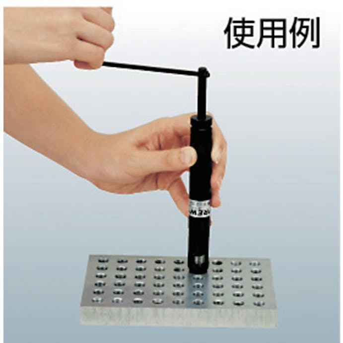 【CAINZ-DASH】日本スプリュー 挿入工具Ｐ型使用ボルトねじＭ４×０．７０ INP-M4-0.7【別送品】