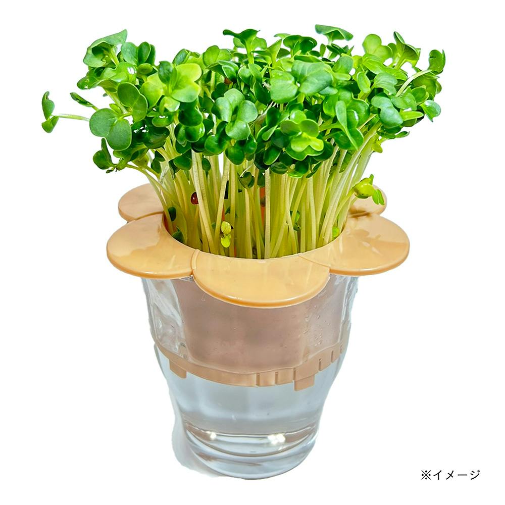 マグカップスプラウト ダスティピンク | 鉢・プランター・花台