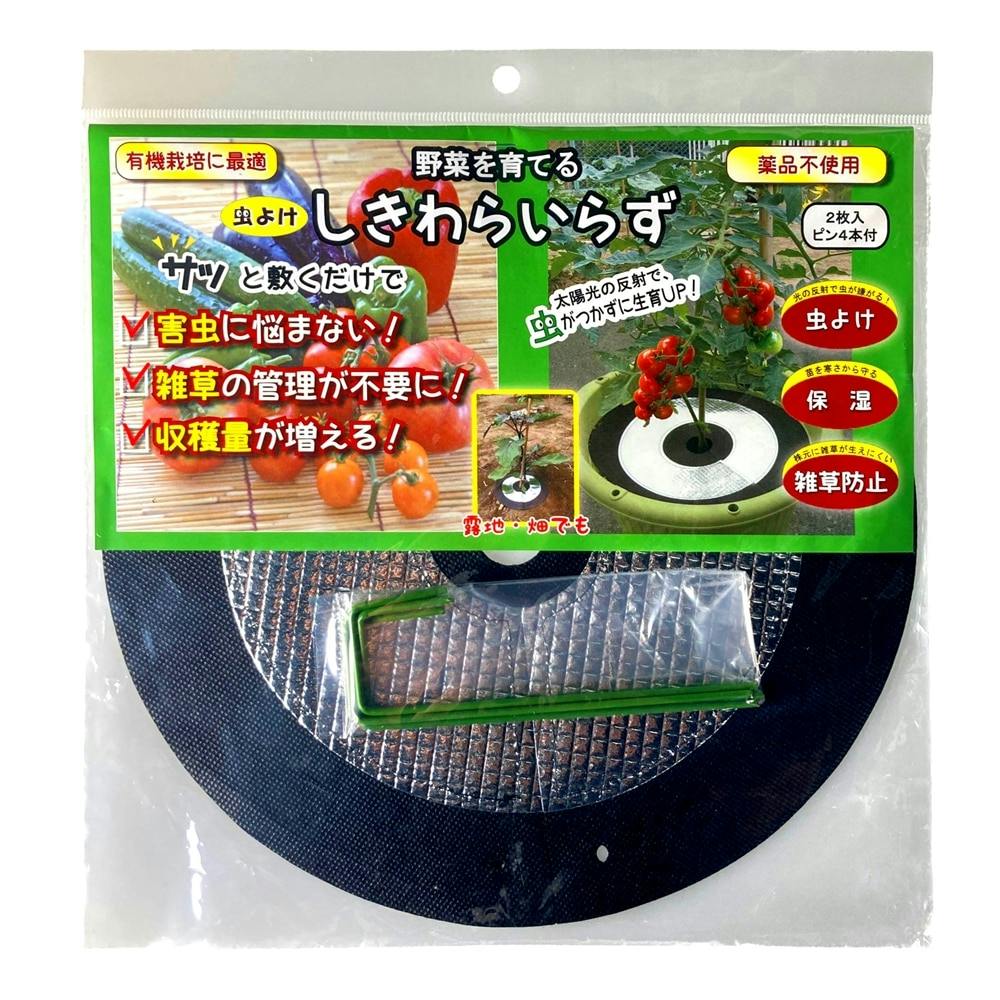 野菜を育てる 虫よけしきわらいらず 2枚入 ピン4本付