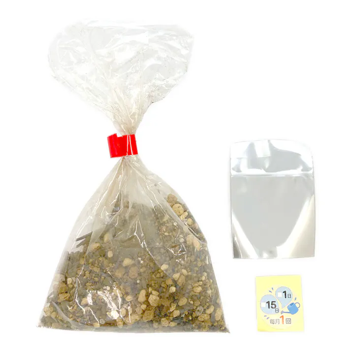 サボテン テラリウム栽培キット サンドベージュ