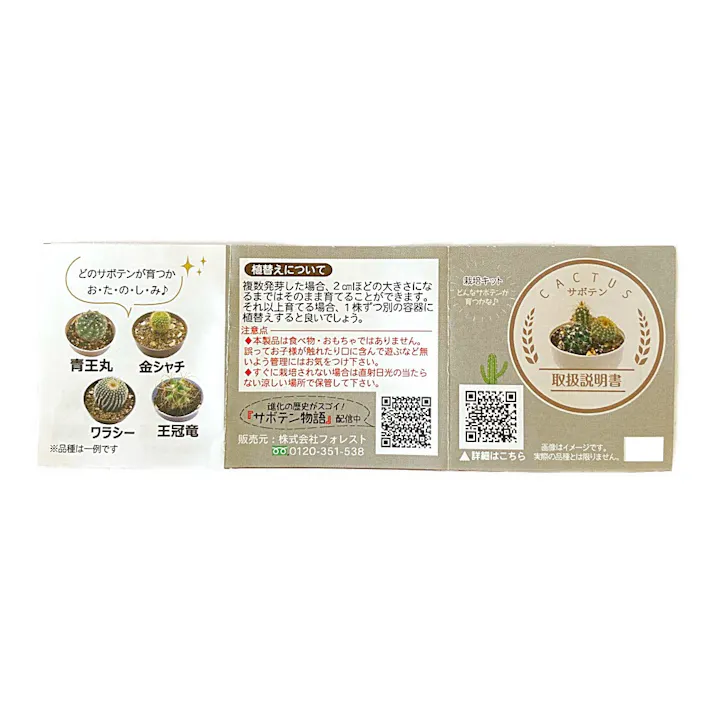 サボテン テラリウム栽培キット サンドベージュ