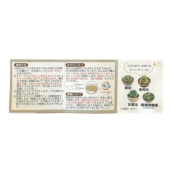 サボテン テラリウム栽培キット サンドベージュ