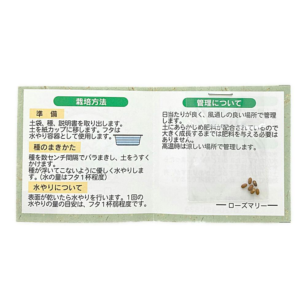 かんたんおうちキッチン ローズマリー | 花＆グリーン 通販