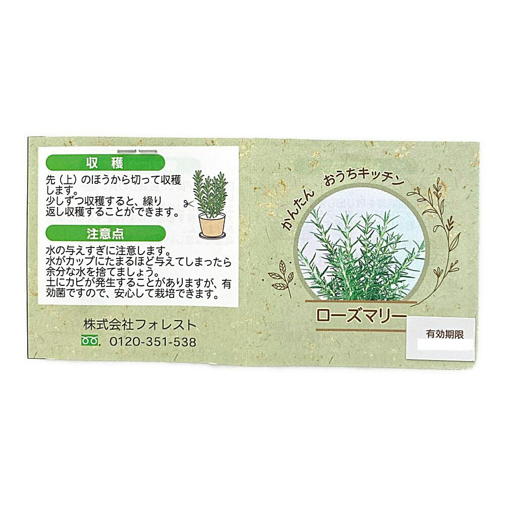 かんたんおうちキッチン ローズマリー | 花＆グリーン 通販