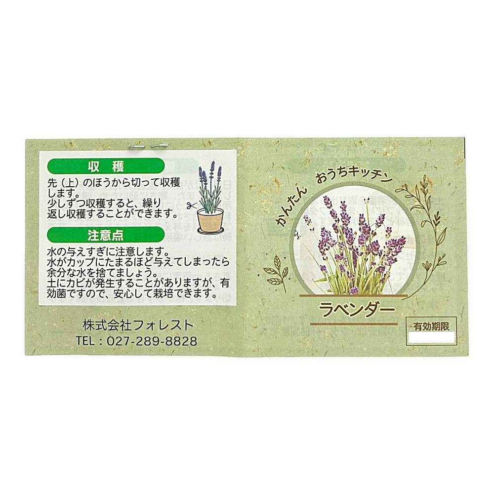 かんたんおうちキッチン ラベンダー | 花＆グリーン 通販