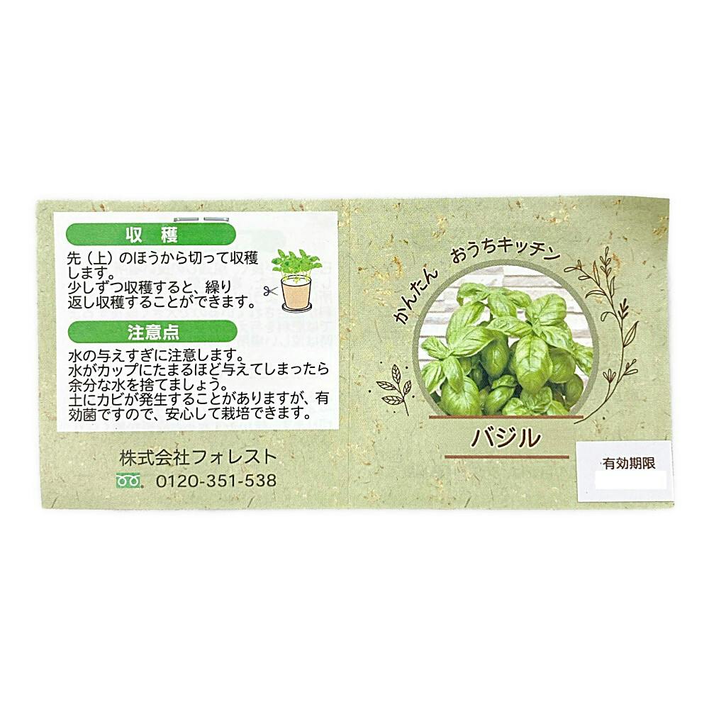 かんたんおうちキッチン バジル | 花＆グリーン 通販 | ホームセンター